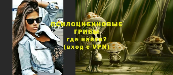 ешки Михайлов