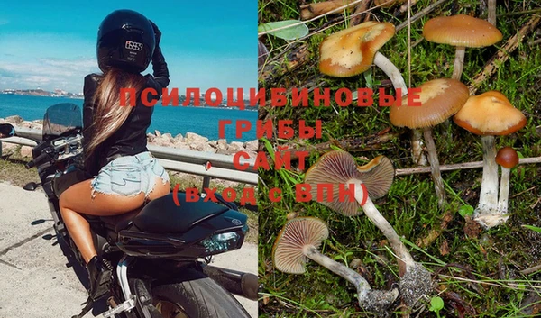 spice Михайловка