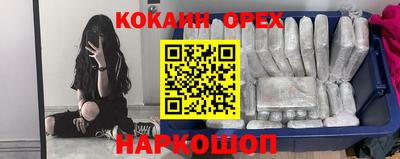 крисы Ливны