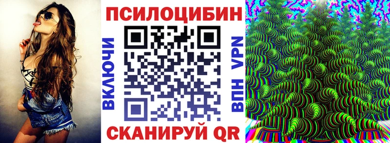 маркетплейс клад  Отрадное  Галлюциногенные грибы Psilocybe 