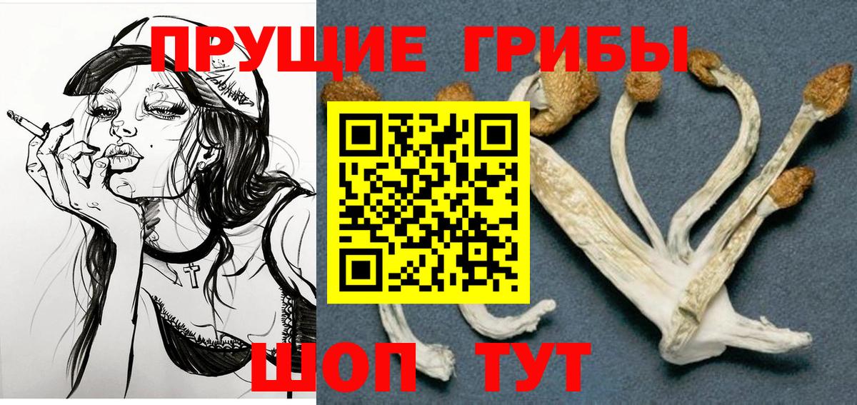 Галлюциногенные грибы Magic Shrooms Отрадное