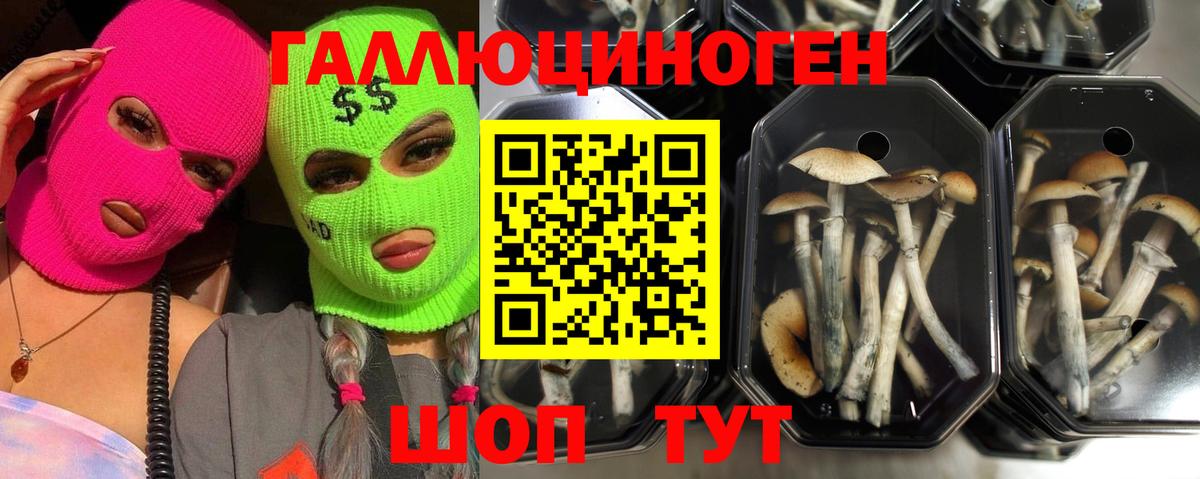 где продают   Галлюциногенные грибы ЛСД  Вход с VPN  Отрадное 